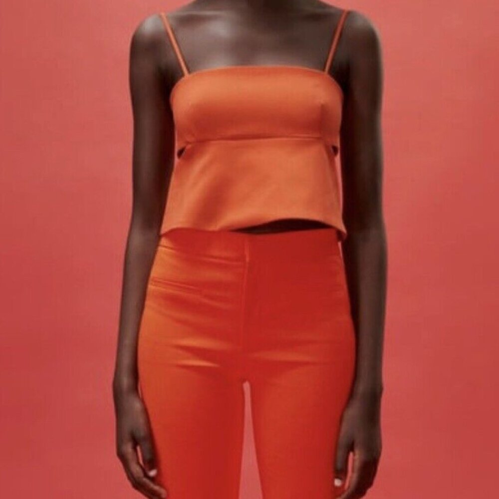 Zara Cut Out Crop Top and Pants Set- Never worn